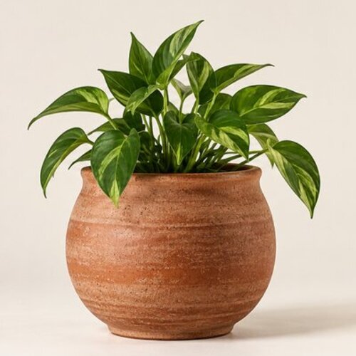 Ceramic planter